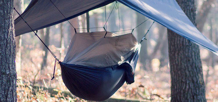 Hammock Camping Tips