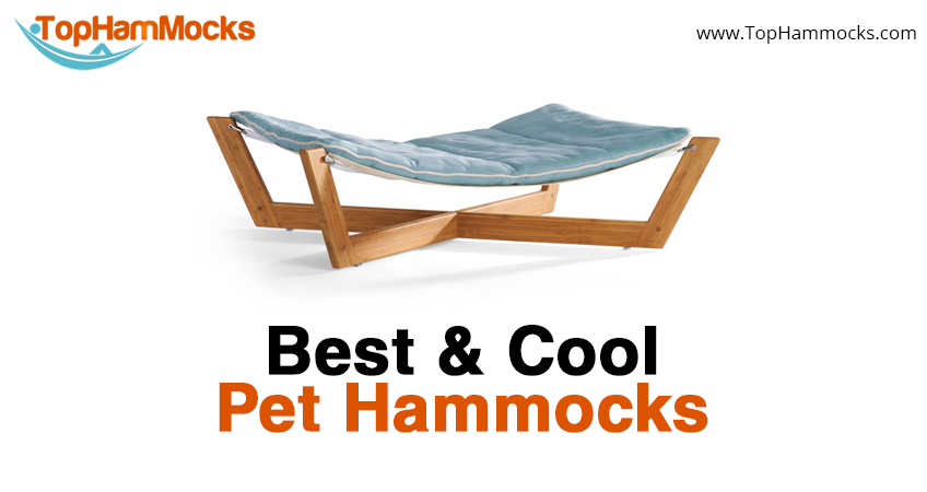 Best Pet Hammocks